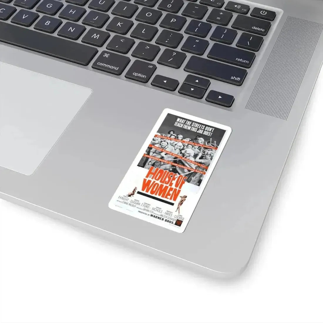 HOUSE OF WOMEN (2) 1962 Movie Poster - STICKER Vinyl Kiss-Cut Decal - The Sticker Space