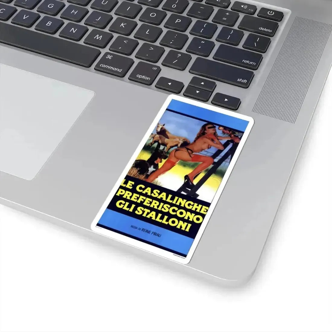 HOUSEWIVES PREFER STALLIONS Movie Poster - STICKER Vinyl Kiss-Cut Decal - The Sticker Space