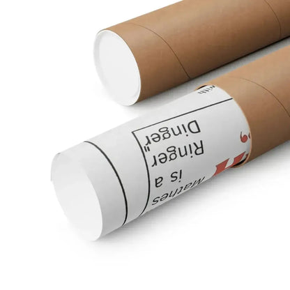 HOW TO SUCCEED WITH GIRLS 1964 - Paper Movie Poster - The Sticker Space