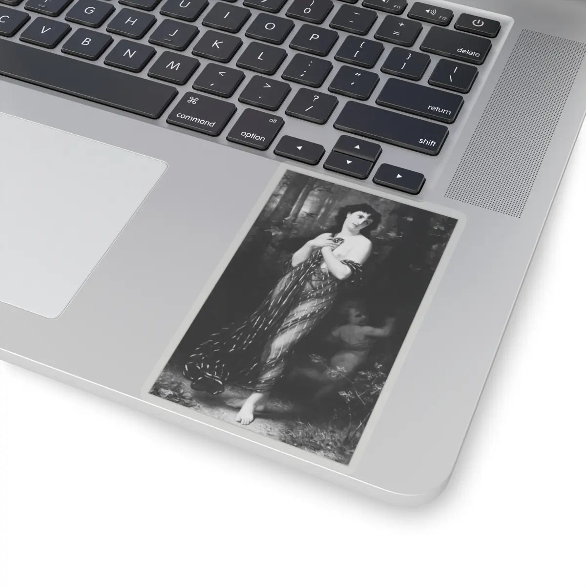 SKU:TSS-STICK-HGSMRL-4X4 Sizes:4" × 4" Types:Transparent