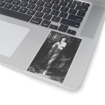 SKU:TSS-STICK-HGSMRL-4X4 Sizes:4" × 4" Types:Transparent