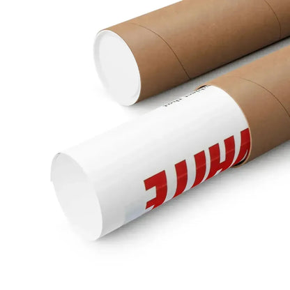 I PASSED FOR WHITE 1960 - Paper Movie Poster - The Sticker Space