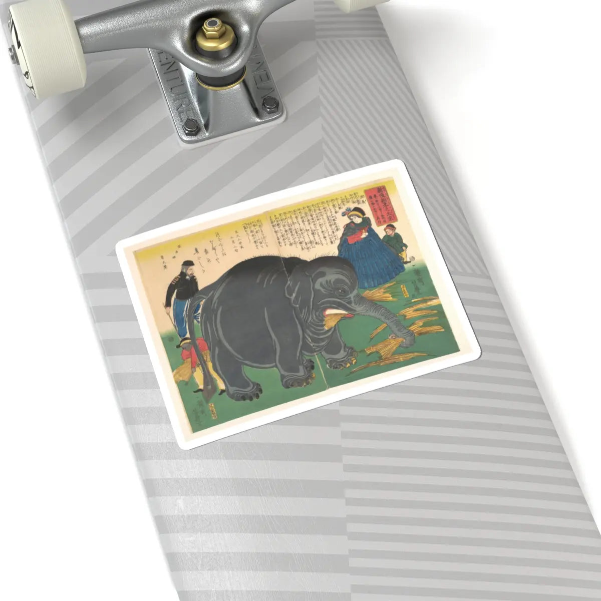 SKU:TSS-STICK-CHRYSH-6X6-12 Sizes:6" × 6" Types:White