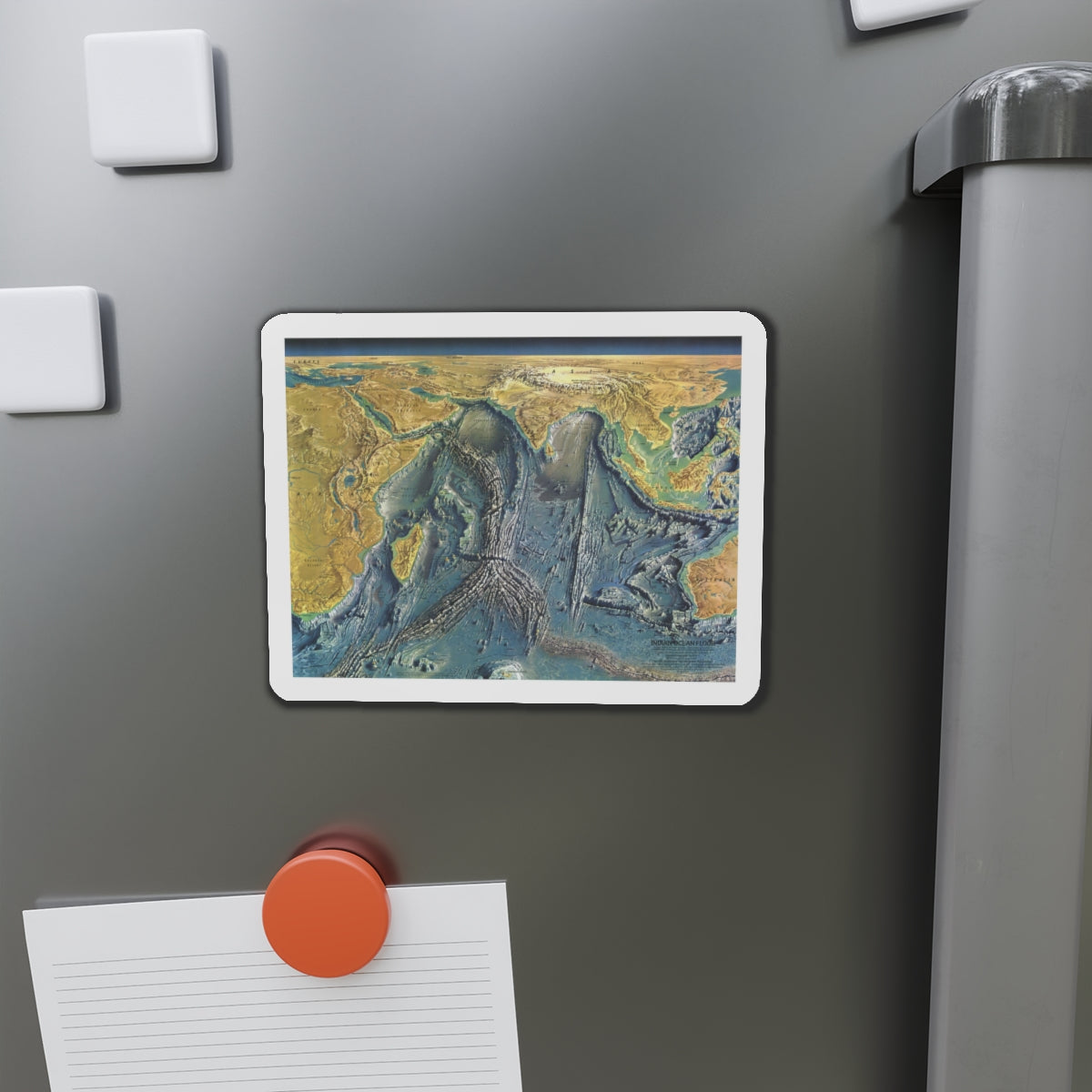 Indian Ocean Floor (1967) (Map) Refrigerator Magnet-The Sticker Space