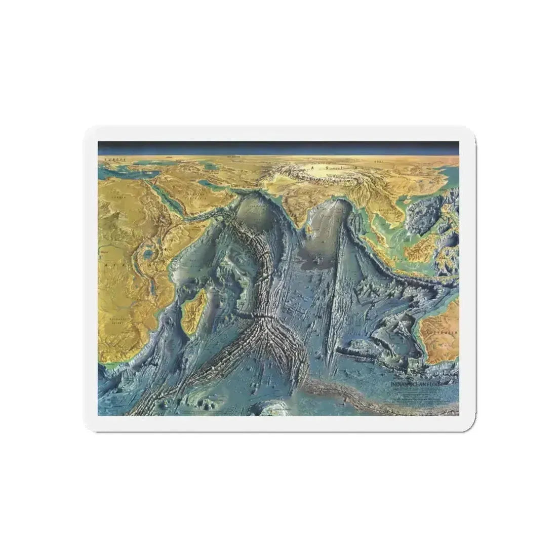 Indian Ocean Floor (1967) (Map) Refrigerator Magnet 5 Inch - The Sticker Space