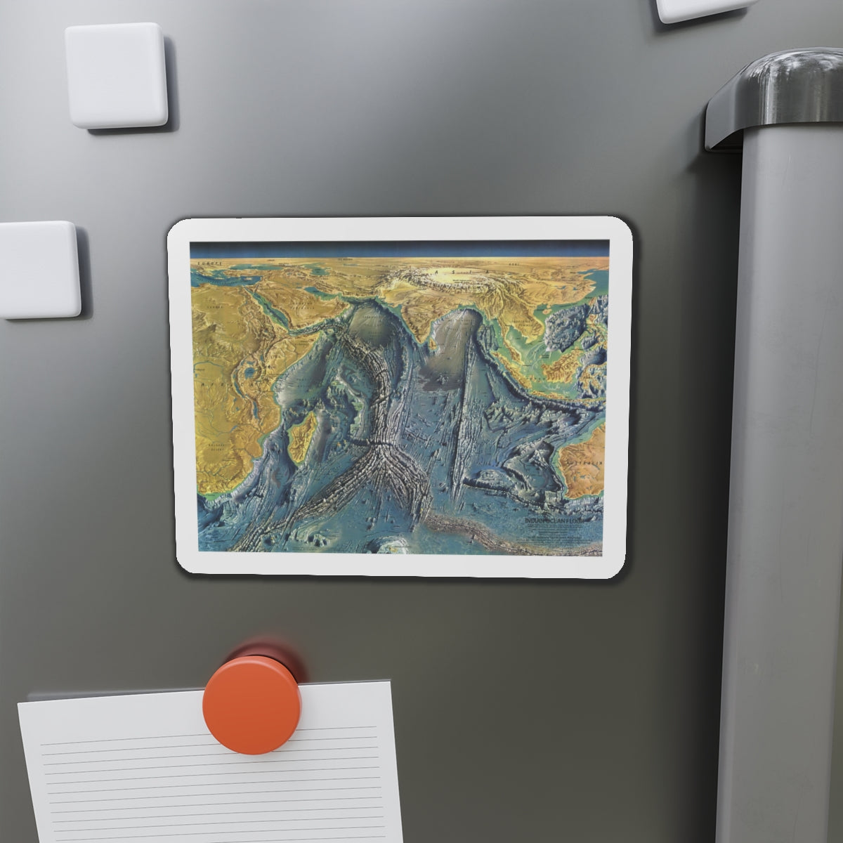 Indian Ocean Floor (1967) (Map) Refrigerator Magnet-The Sticker Space