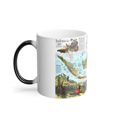 Indonesia 2 (1996) (Map) Color Changing Mug 11oz-11oz-The Sticker Space