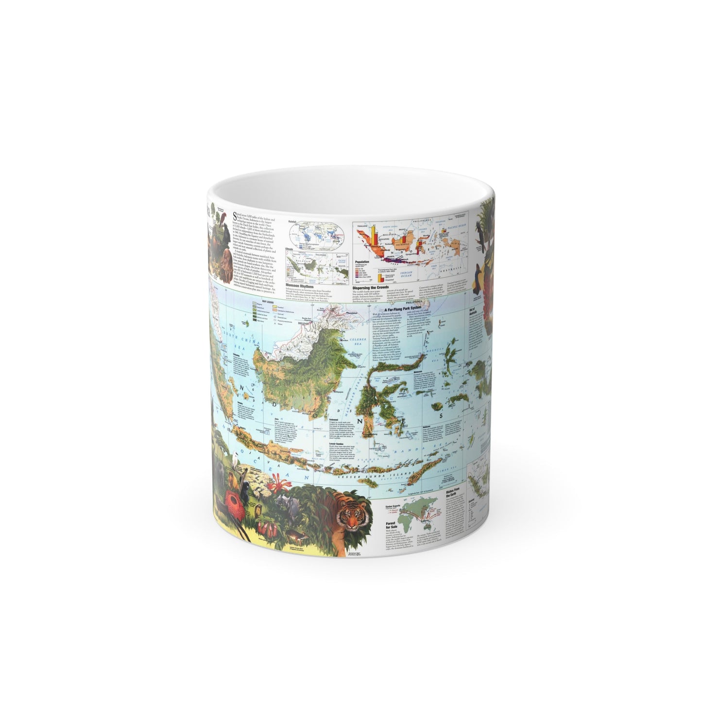 Indonesia 2 (1996) (Map) Color Changing Mug 11oz-11oz-The Sticker Space