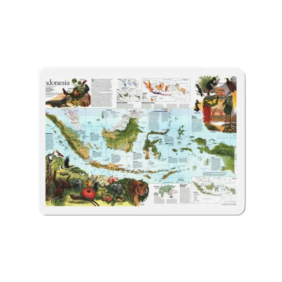 Indonesia 2 (1996) (Map) Refrigerator Magnet 2 Inch - The Sticker Space