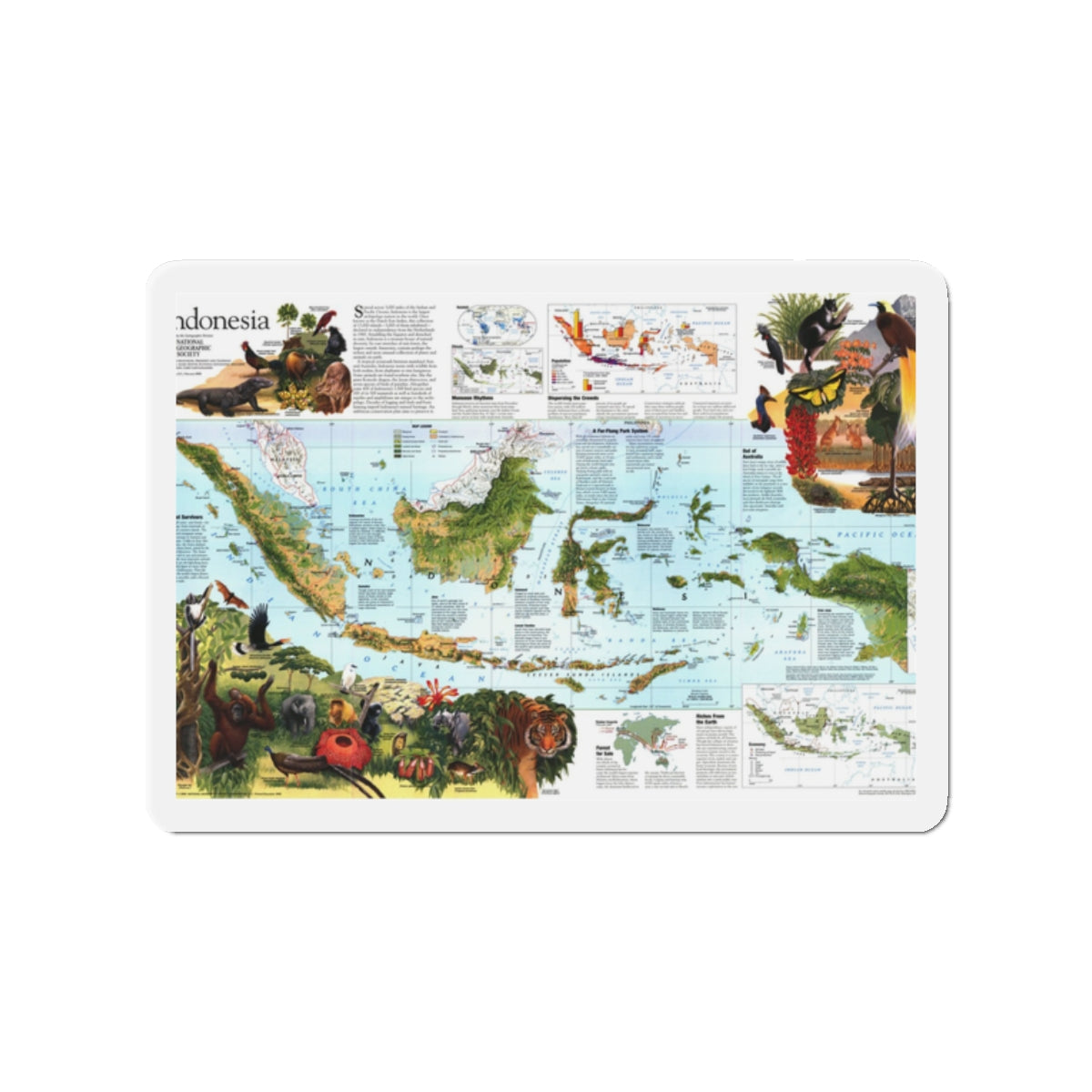 Indonesia 2 (1996) (Map) Refrigerator Magnet-2" x 2"-The Sticker Space