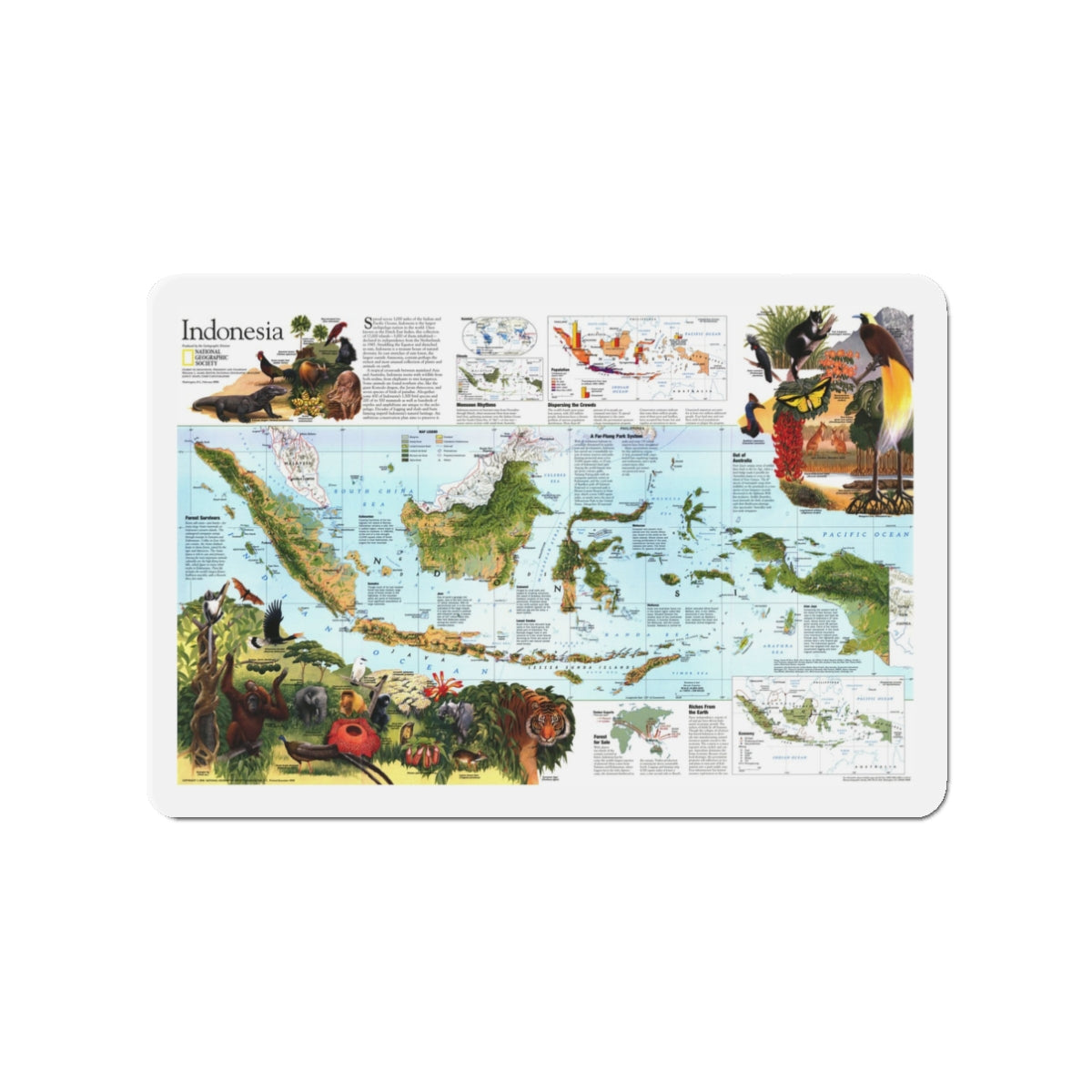 Indonesia 2 (1996) (Map) Refrigerator Magnet-3" x 3"-The Sticker Space