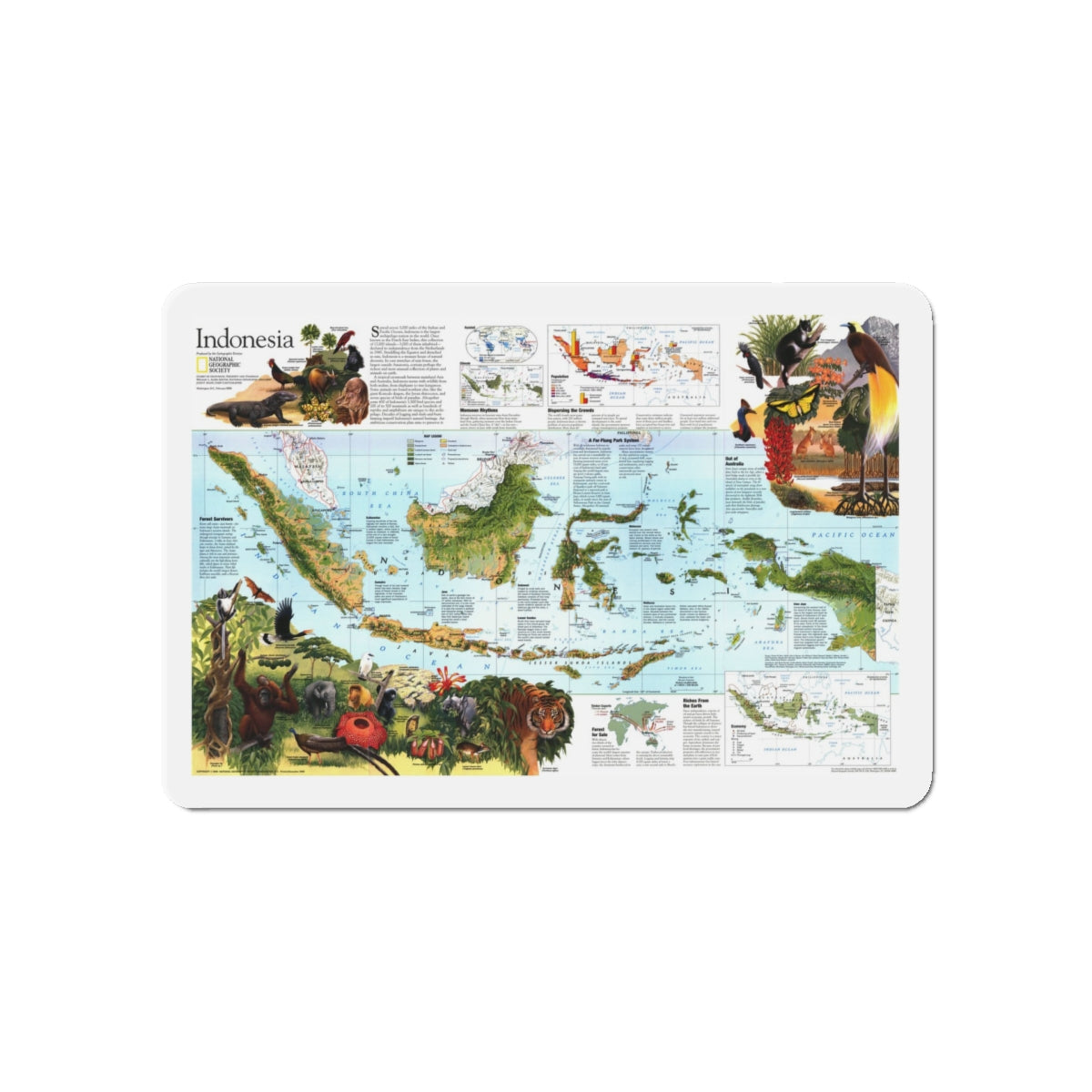 Indonesia 2 (1996) (Map) Refrigerator Magnet-5" x 5"-The Sticker Space