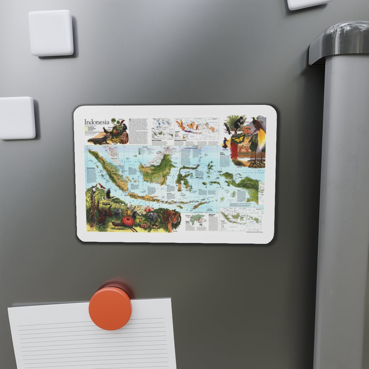 Indonesia 2 (1996) (Map) Refrigerator Magnet-The Sticker Space