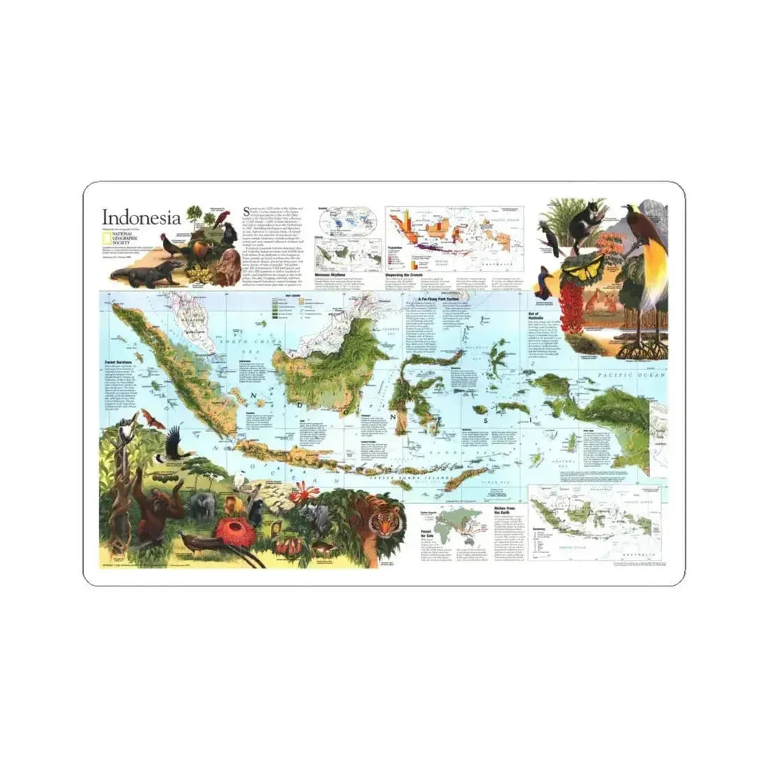Indonesia 2 (1996) (Map) STICKER Vinyl Kiss-Cut Decal 6 Inch White - The Sticker Space