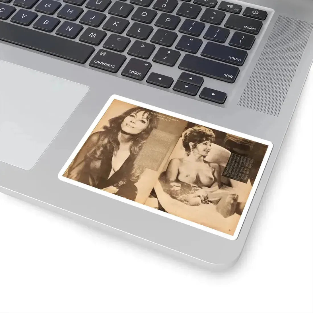 Ingrid Pitt #14 (Vintage Female Icon) STICKER Vinyl Kiss-Cut Decal - The Sticker Space