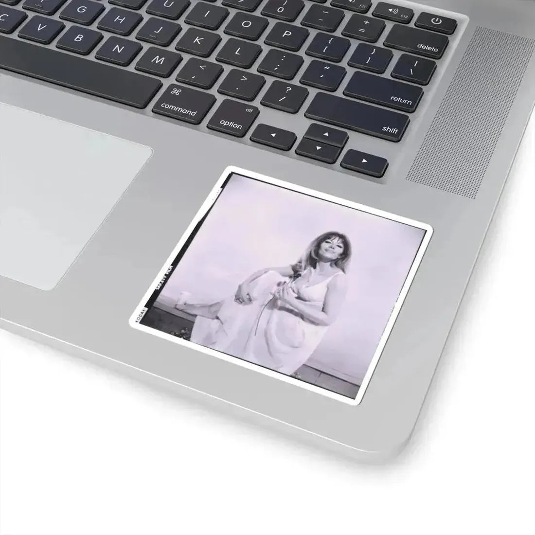 Ingrid Pitt #81 (Vintage Female Icon) STICKER Vinyl Kiss-Cut Decal - The Sticker Space