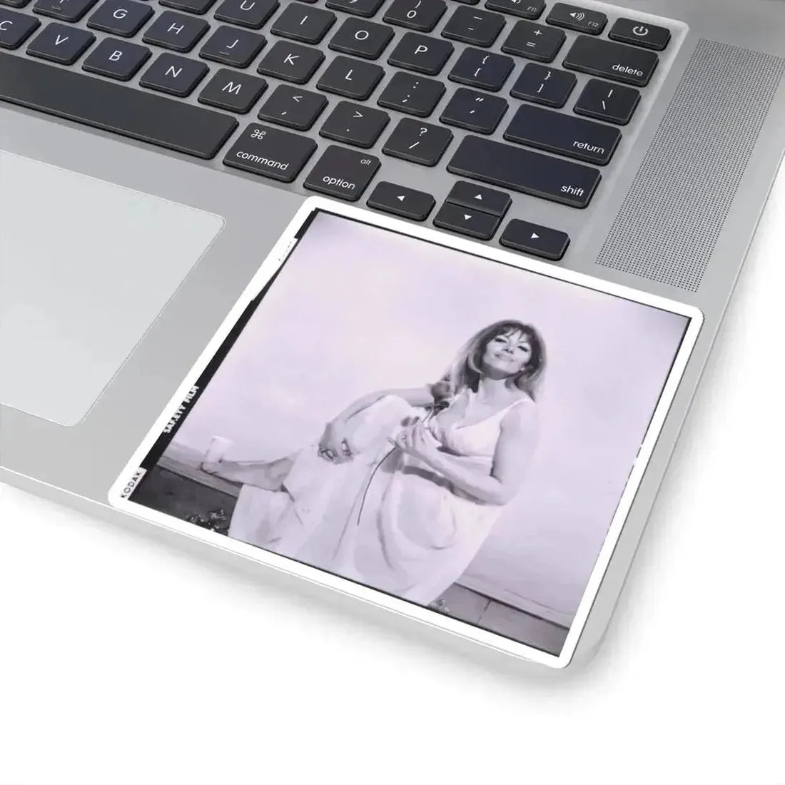 Ingrid Pitt #81 (Vintage Female Icon) STICKER Vinyl Kiss-Cut Decal - The Sticker Space