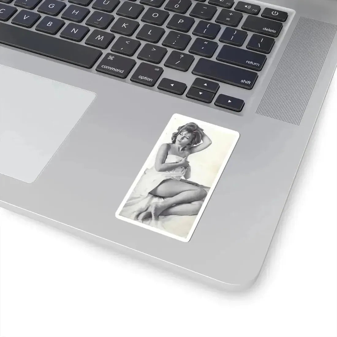 Ingrid Pitt #85 (Vintage Female Icon) STICKER Vinyl Kiss-Cut Decal - The Sticker Space