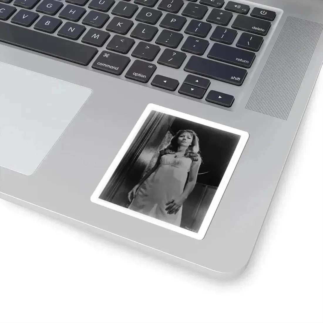 Ingrid Pitt #90 (Vintage Female Icon) STICKER Vinyl Kiss-Cut Decal - The Sticker Space