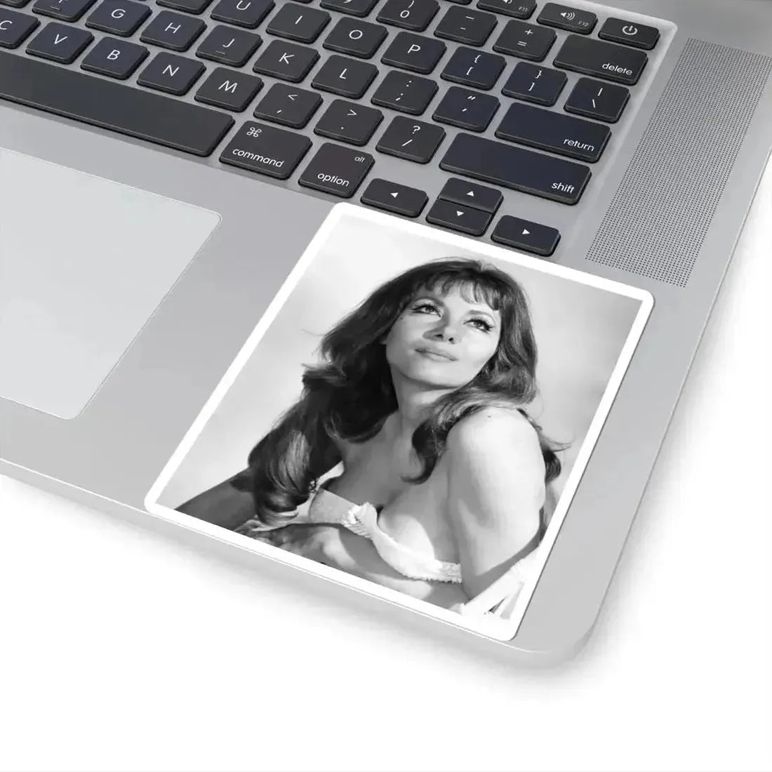 Ingrid Pitt #98 (Vintage Female Icon) STICKER Vinyl Kiss-Cut Decal - The Sticker Space