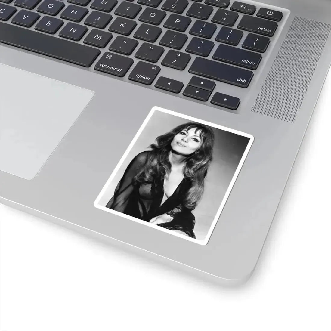 Ingrid Pitt #99 (Vintage Female Icon) STICKER Vinyl Kiss-Cut Decal - The Sticker Space