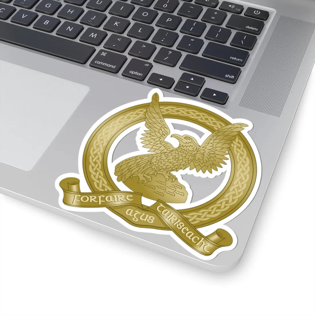 Irish Air Corps insignia (Ireland) (Coat of Arms) STICKER Vinyl Kiss-Cut Decal - The Sticker Space