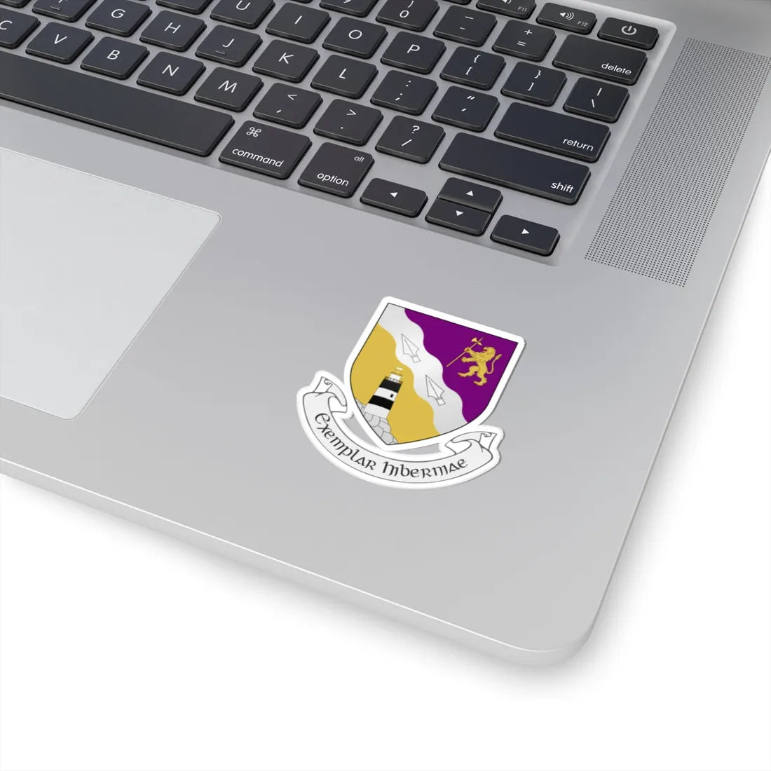IRL COA County Wexford 3D (Ireland) (Coat of Arms) STICKER Vinyl Kiss-Cut Decal - The Sticker Space