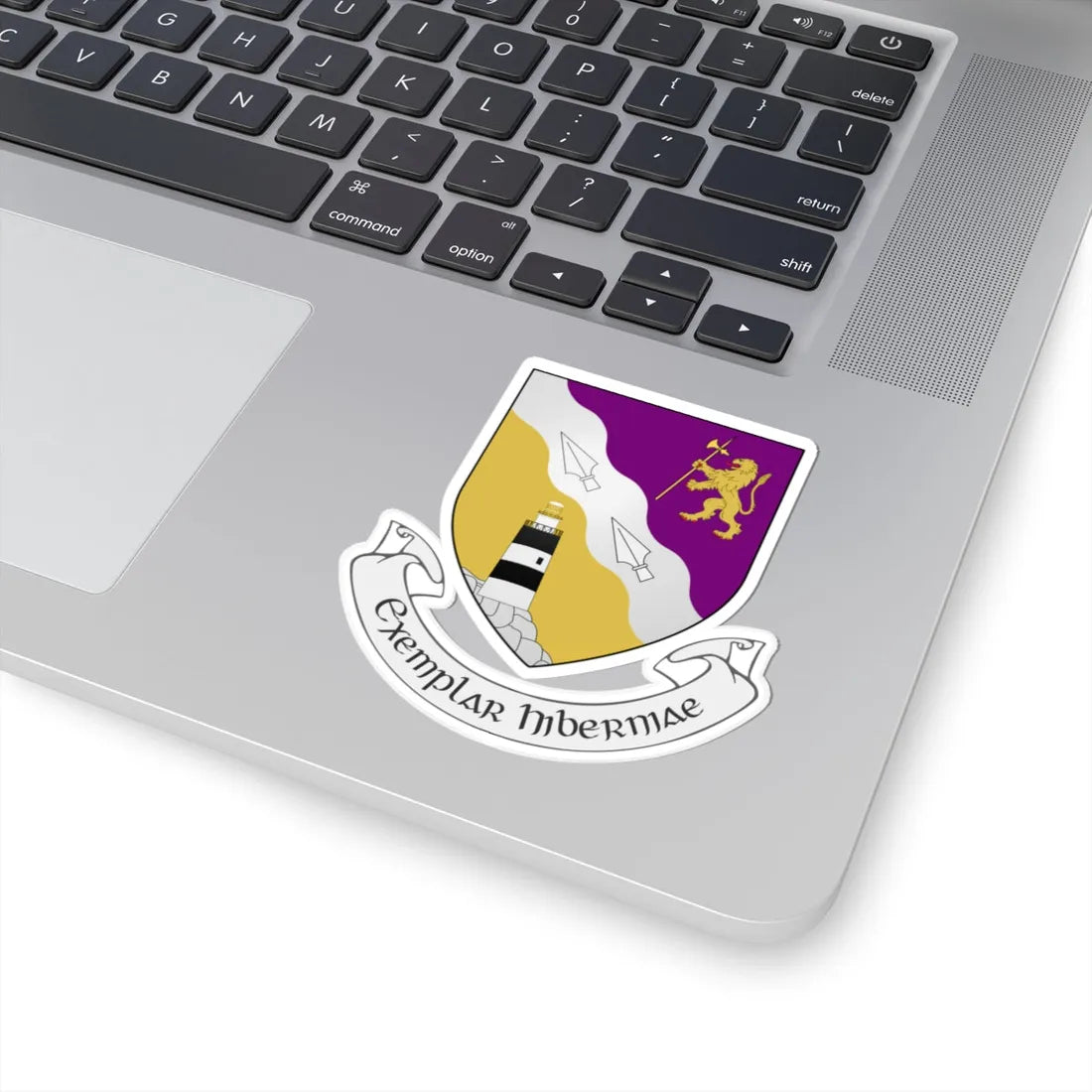 IRL COA County Wexford 3D (Ireland) (Coat of Arms) STICKER Vinyl Kiss-Cut Decal - The Sticker Space