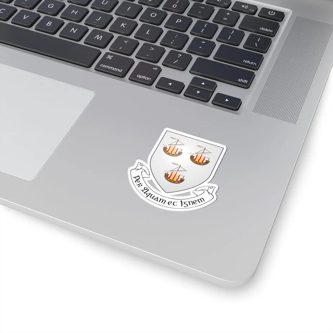IRL COA Wexford Town 3D (Ireland) (Coat of Arms) STICKER Vinyl Kiss-Cut Decal - The Sticker Space