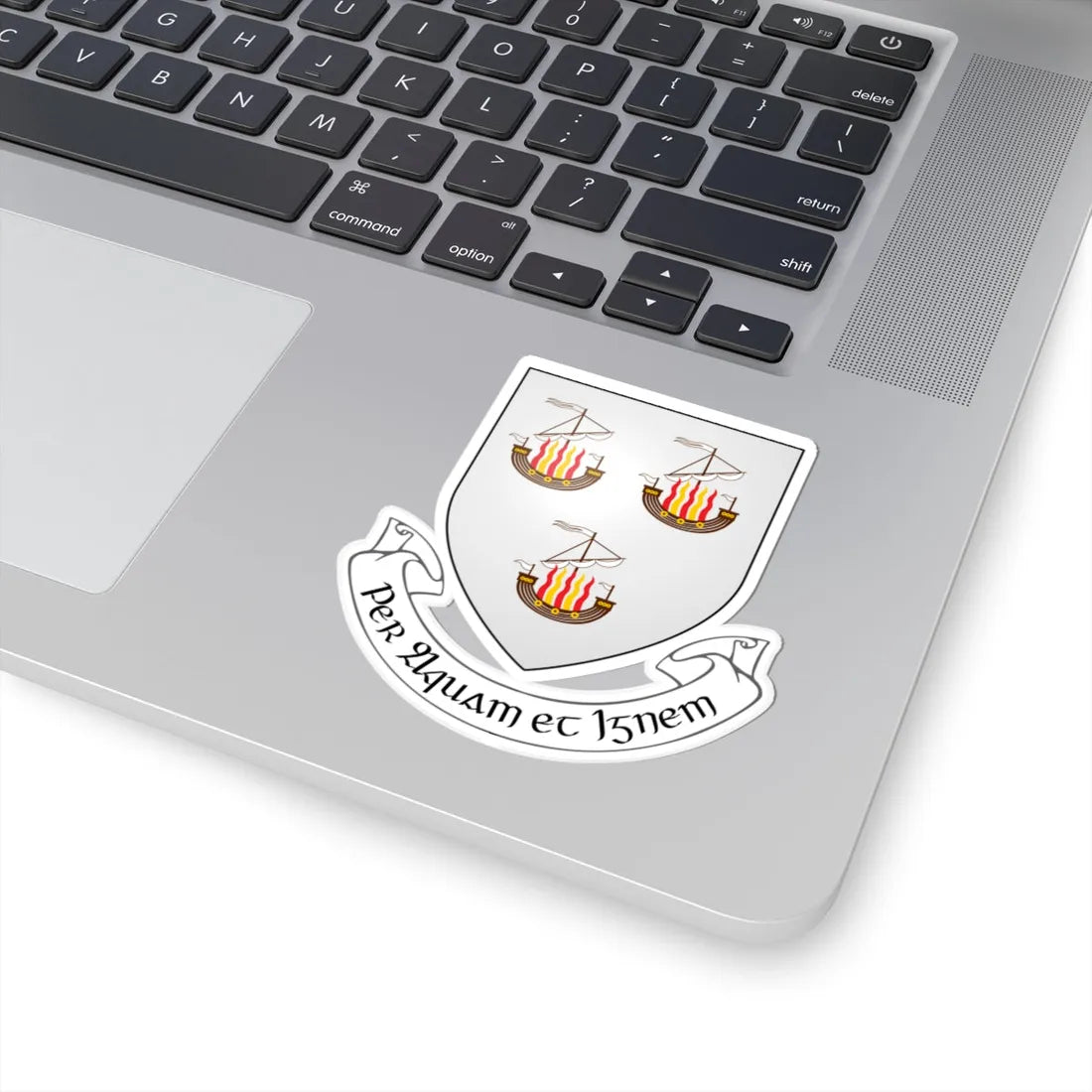 IRL COA Wexford Town 3D (Ireland) (Coat of Arms) STICKER Vinyl Kiss-Cut Decal - The Sticker Space