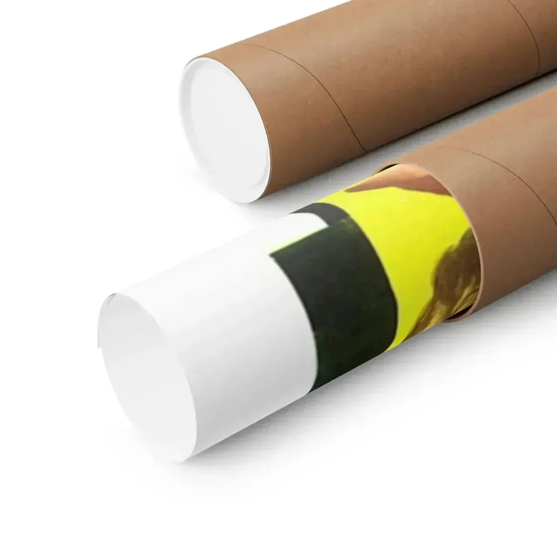 ISLAND OF THE DOOMED 1967 - Paper Movie Poster - The Sticker Space