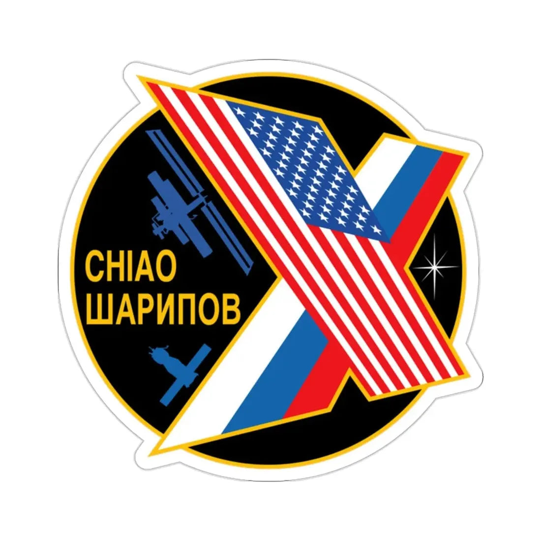 ISS Expedition 10 (NASA) STICKER Vinyl Die-Cut Decal - The Sticker Space