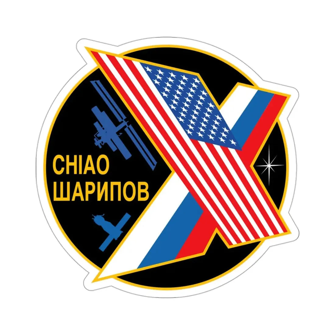 ISS Expedition 10 (NASA) STICKER Vinyl Die-Cut Decal - The Sticker Space