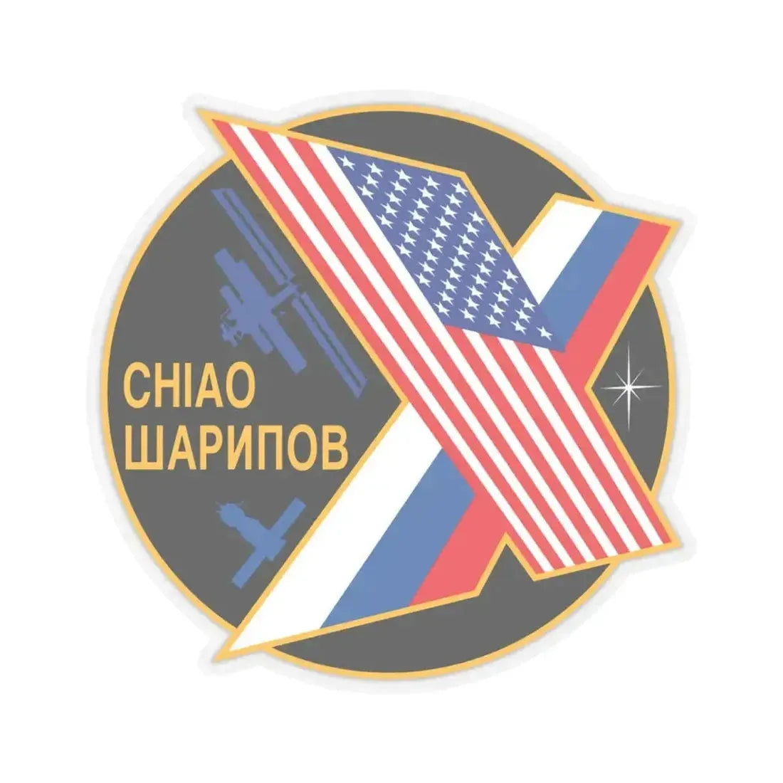 ISS Expedition 10 (NASA) STICKER Vinyl Kiss-Cut Decal 3 Inch Transparent - The Sticker Space