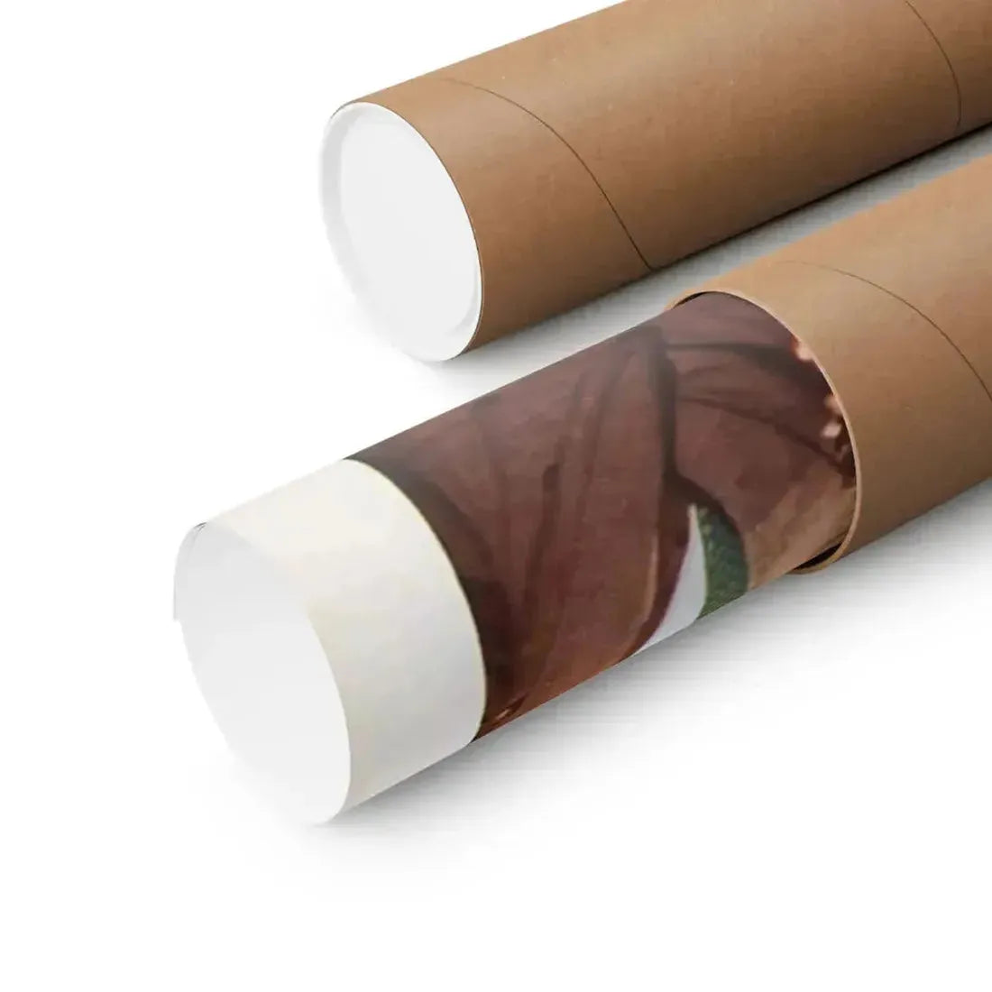 JAIL BAIT 1954 - Paper Movie Poster - The Sticker Space