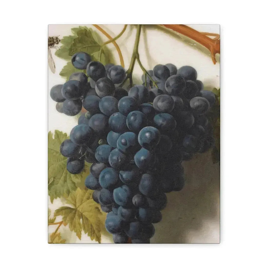 Jan Frans van Dael (1764-1840) Grappe de Raisins Marble - Canvas Wall Art 11″ x 14″ 1.25" - The Sticker Space