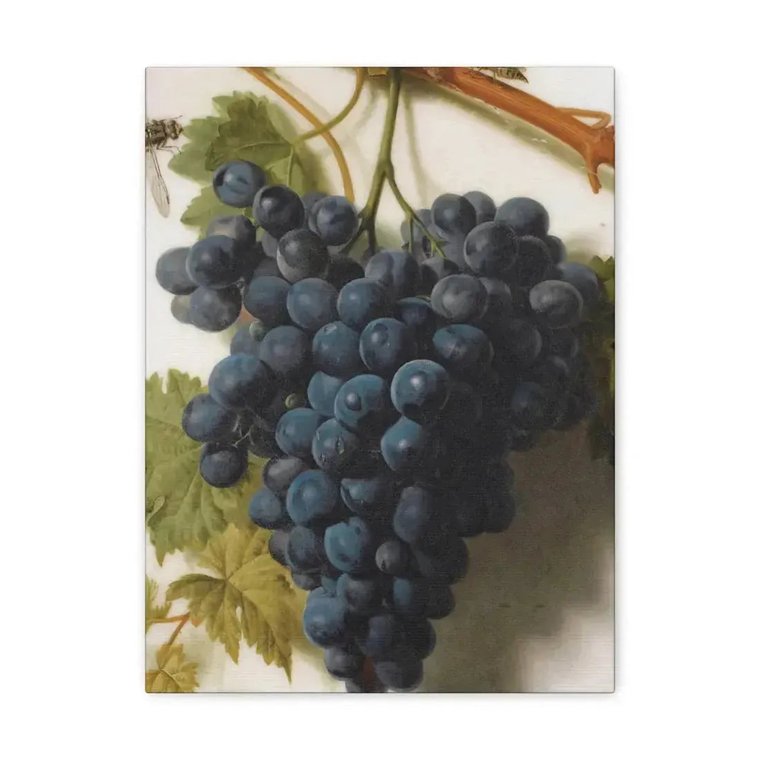 Jan Frans van Dael (1764-1840) Grappe de Raisins Marble - Canvas Wall Art 12″ x 16″ 1.25" - The Sticker Space