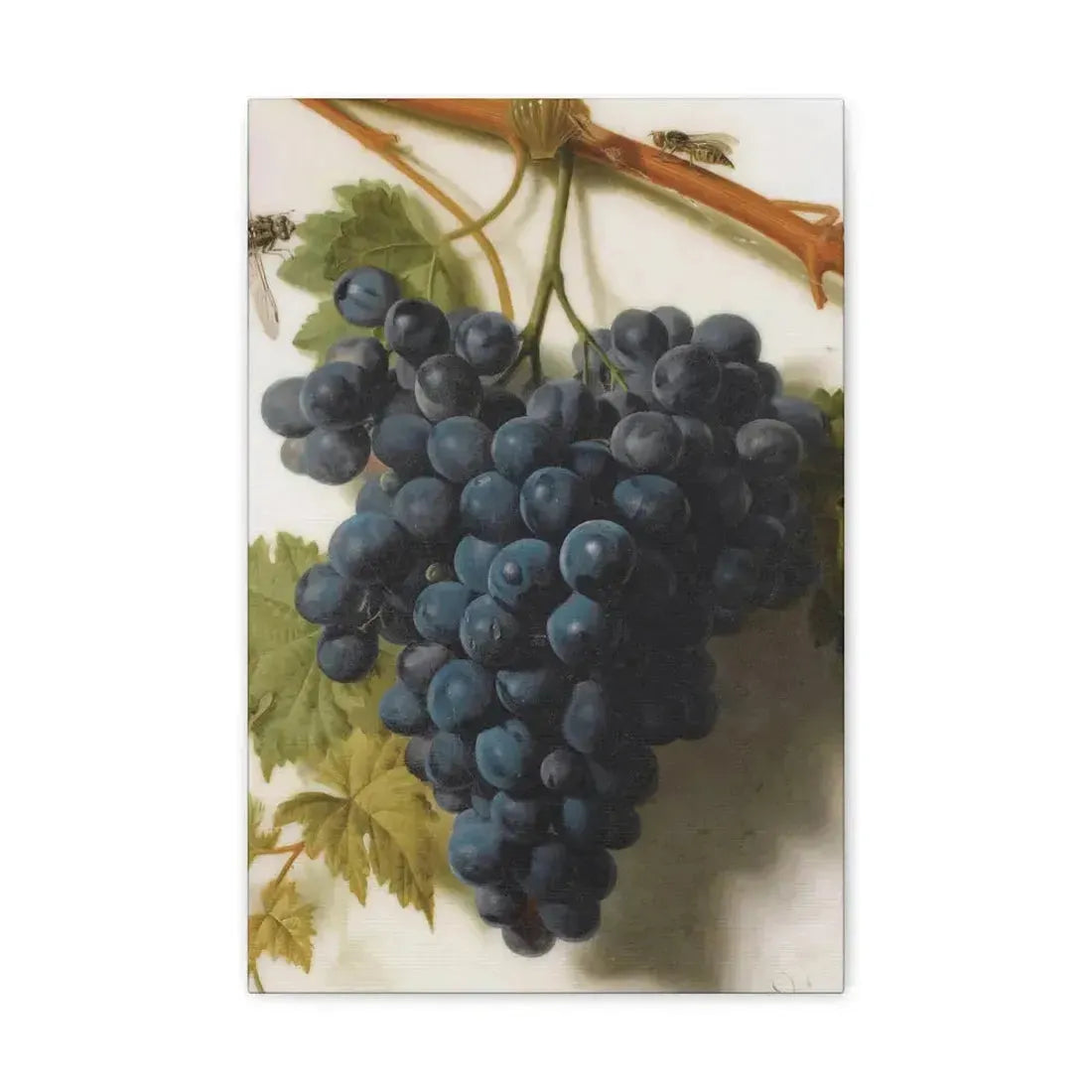 Jan Frans van Dael (1764-1840) Grappe de Raisins Marble - Canvas Wall Art 12" x 18" 1.25" - The Sticker Space