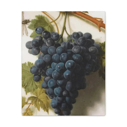 Jan Frans van Dael (1764-1840) Grappe de Raisins Marble - Canvas Wall Art 16″ x 20″ 1.25" - The Sticker Space