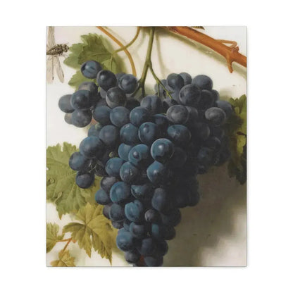 Jan Frans van Dael (1764-1840) Grappe de Raisins Marble - Canvas Wall Art 20″ x 24″ 1.25" - The Sticker Space