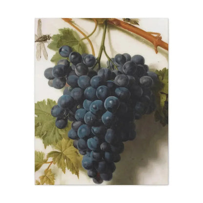 Jan Frans van Dael (1764-1840) Grappe de Raisins Marble - Canvas Wall Art 24″ x 30″ 1.25" - The Sticker Space