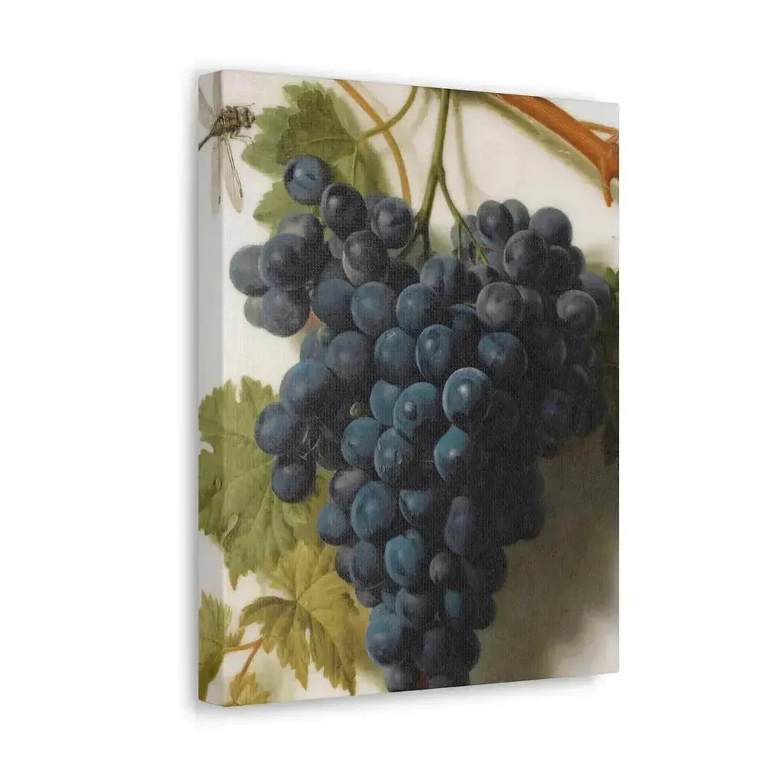 Jan Frans van Dael (1764-1840) Grappe de Raisins Marble - Canvas Wall Art - The Sticker Space