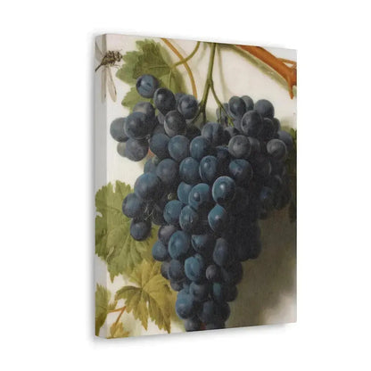 Jan Frans van Dael (1764-1840) Grappe de Raisins Marble - Canvas Wall Art - The Sticker Space