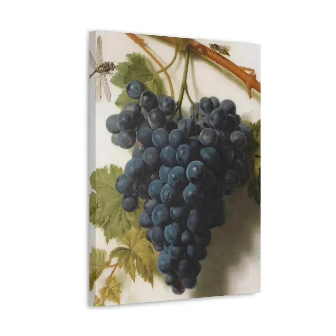 Jan Frans van Dael (1764-1840) Grappe de Raisins Marble - Canvas Wall Art - The Sticker Space