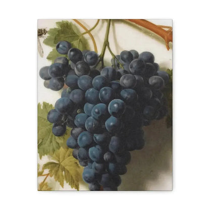 Jan Frans van Dael (1764-1840) Grappe de Raisins Marble - Canvas Wall Art - The Sticker Space