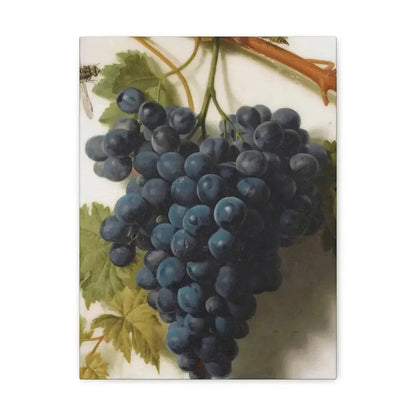 Jan Frans van Dael (1764-1840) Grappe de Raisins Marble - Canvas Wall Art - The Sticker Space
