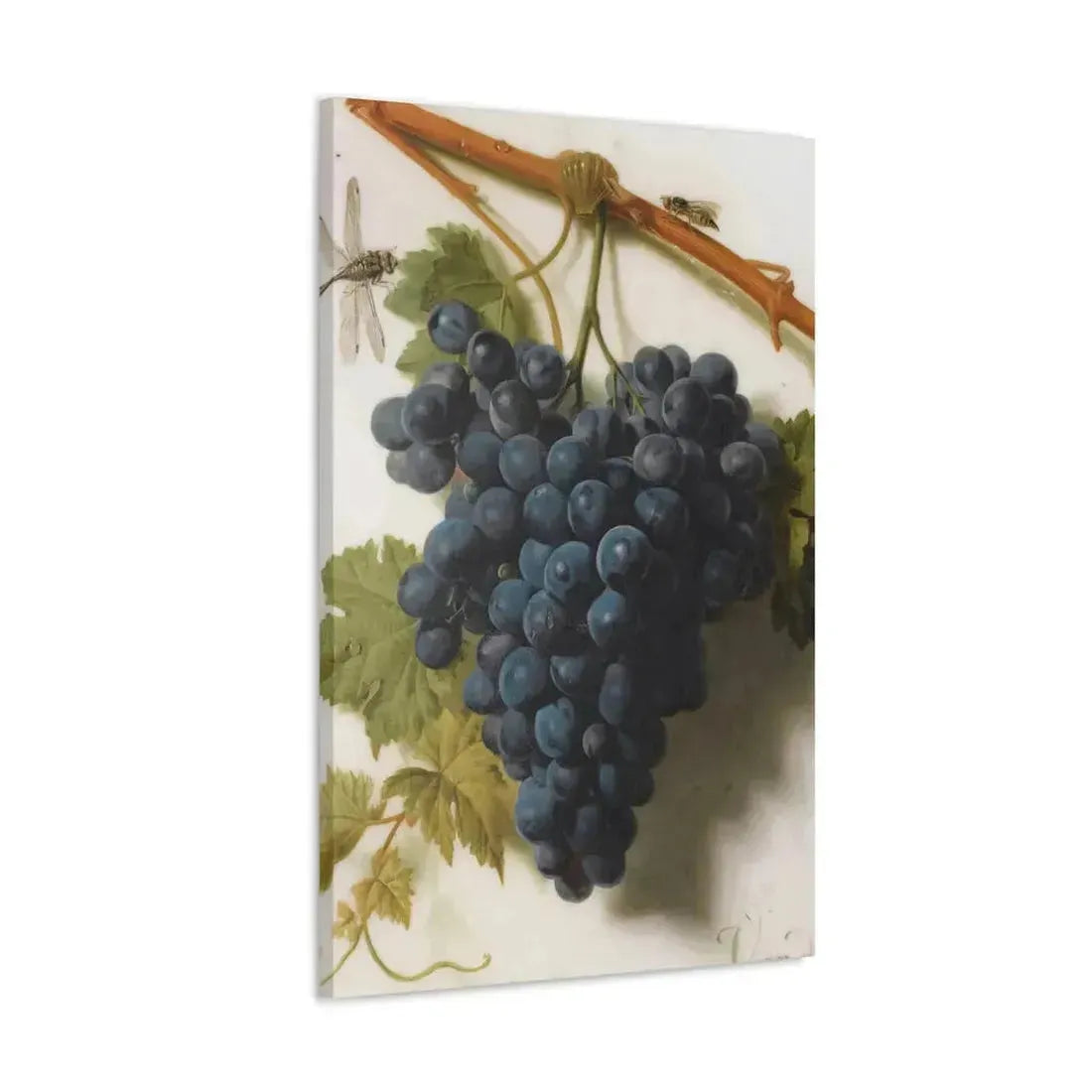 Jan Frans van Dael (1764-1840) Grappe de Raisins Marble - Canvas Wall Art - The Sticker Space