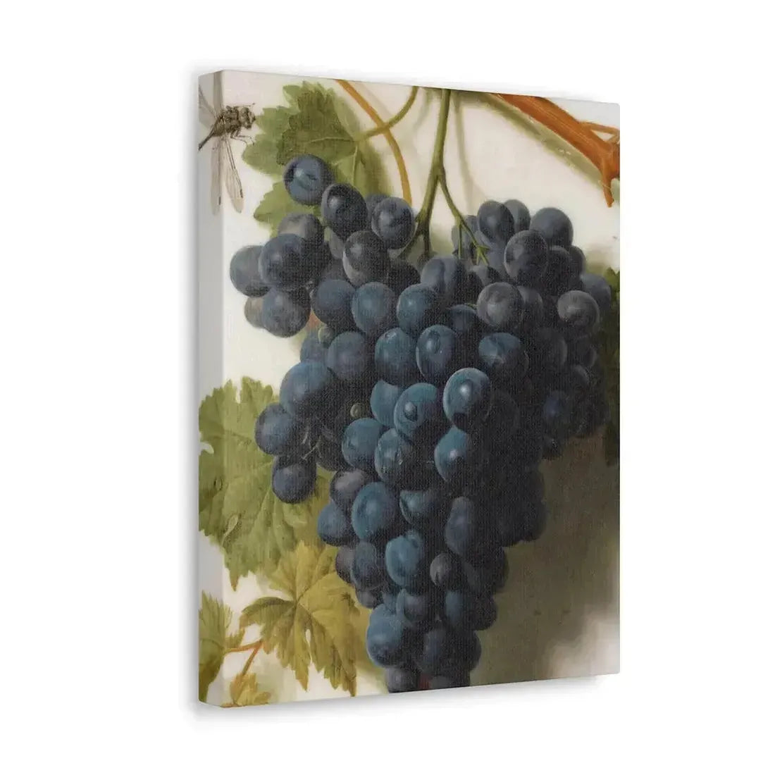 Jan Frans van Dael (1764-1840) Grappe de Raisins Marble - Canvas Wall Art - The Sticker Space