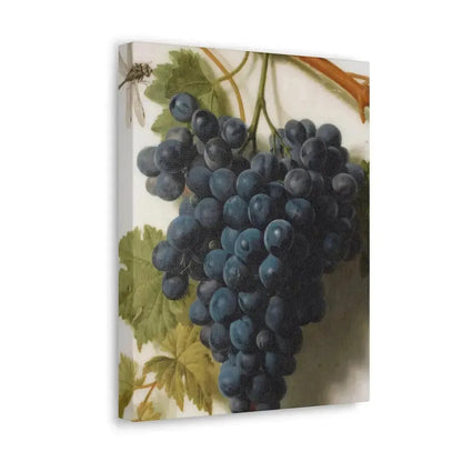 Jan Frans van Dael (1764-1840) Grappe de Raisins Marble - Canvas Wall Art - The Sticker Space
