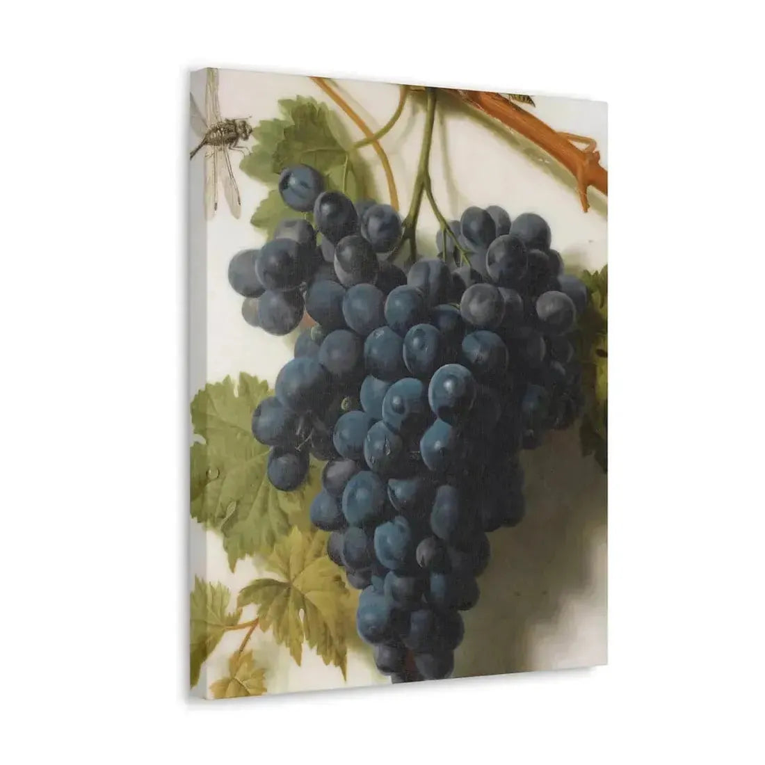 Jan Frans van Dael (1764-1840) Grappe de Raisins Marble - Canvas Wall Art - The Sticker Space